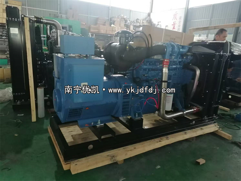 2025年2月20日，國外項目兩臺150KW玉柴柴油發(fā)電機(jī)組裝車出口